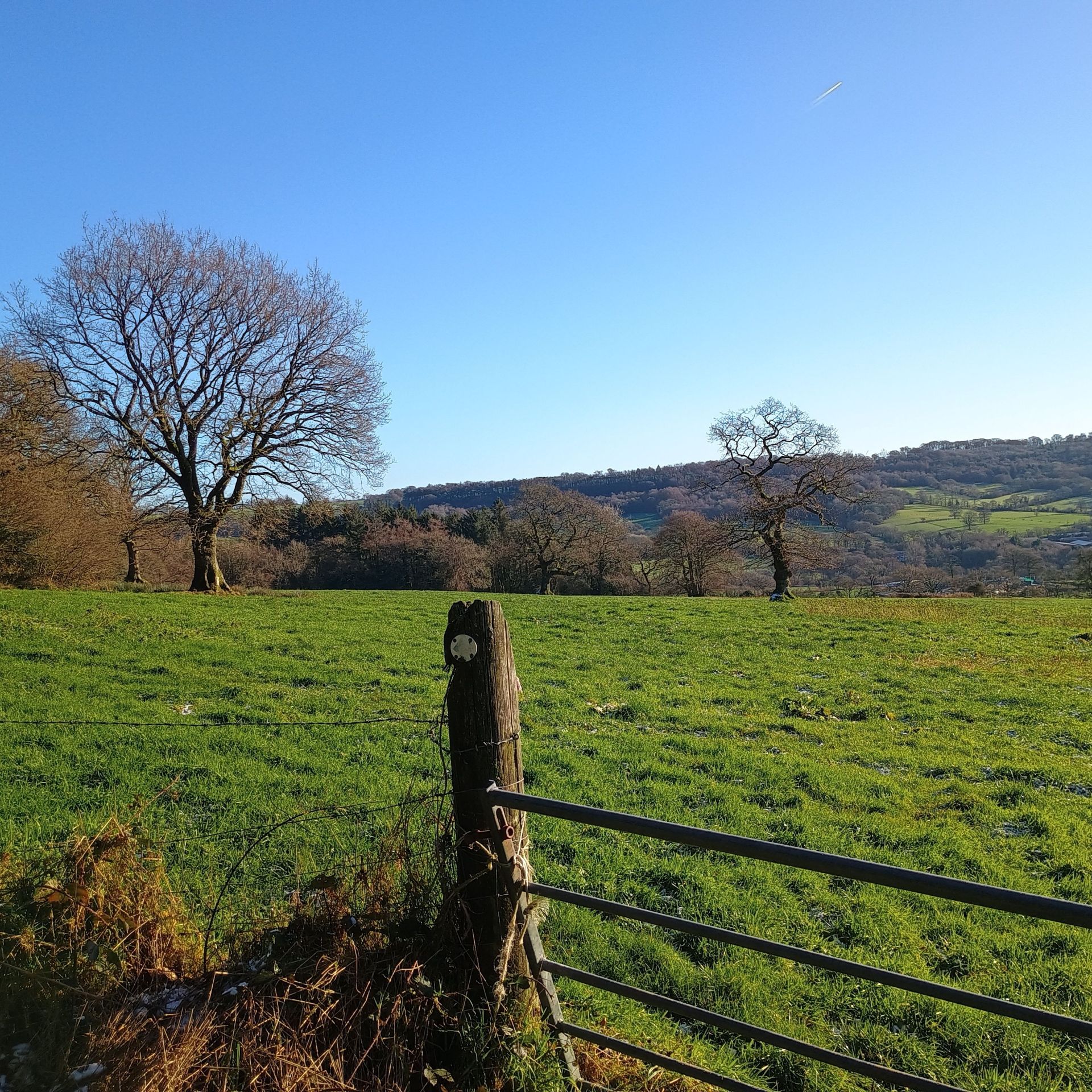 View over field and hill